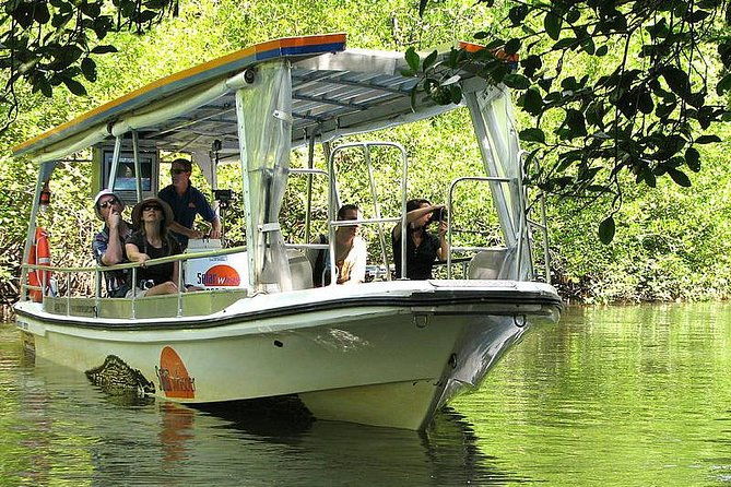 Private Cape Tribulation & Mossman Gorge Day Tour - Final Thoughts: Who Will Love This Tour?