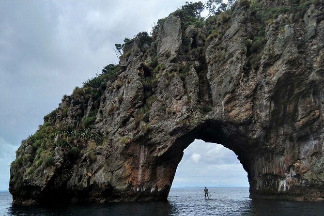 Private Charter 8 Hour Combo: Poor Knights Snorkel and Paddleboard with Fishing - FAQ
