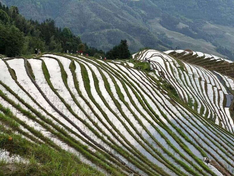 private-custom-tour-2-day-longji-rice-terraces-private-tour
