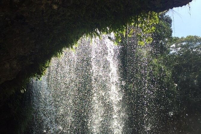 Private Custom Trips Byron Bay - What to Expect During the Day