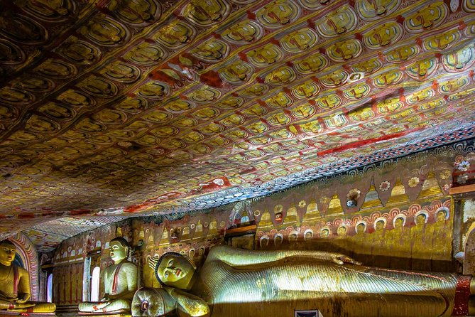 Private Day Trip to Sigiriya, cave and National park Safari Tour - FAQ