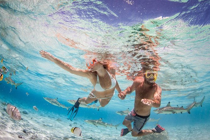 Private Full Day Aquatic Photo Tour + Resort Photo-Shoot (All inclusive) - FAQs