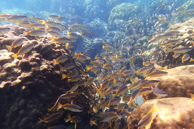 Private Full-Day Blue Dragon Yacht to Angthong National Marine Park - Final Thoughts