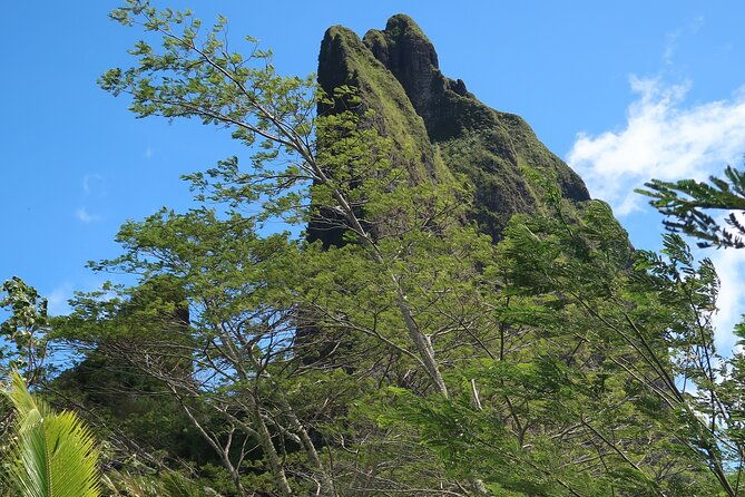 Private Half-Day Hike in the Opunohu Valley in Moorea - FAQ