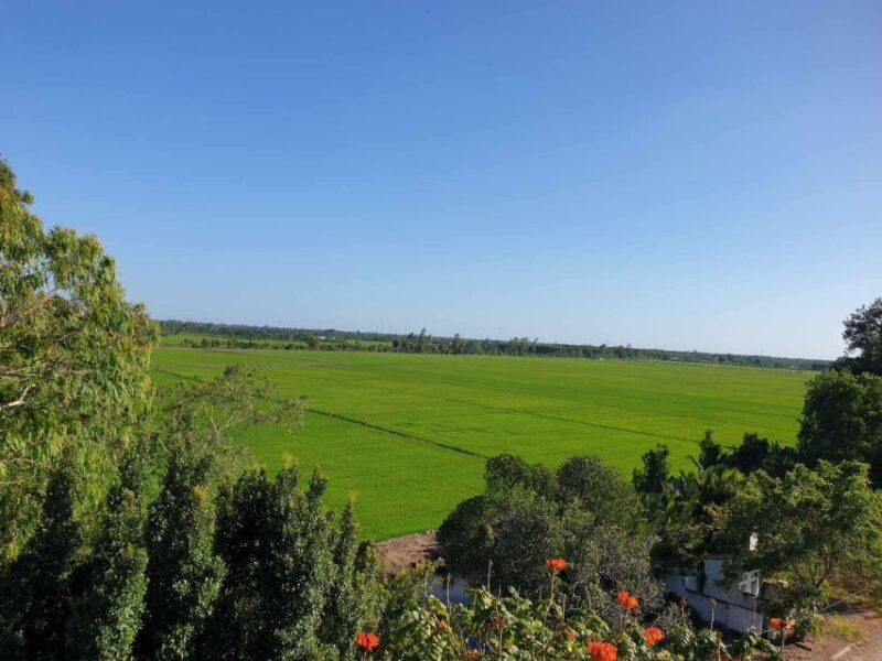 private-half-day-tour-nature-wildlife-forest-in-can-tho