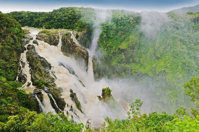 Private Half Day Tour: World Heritage Rainforest & Waterfall - Practical Considerations and Tips