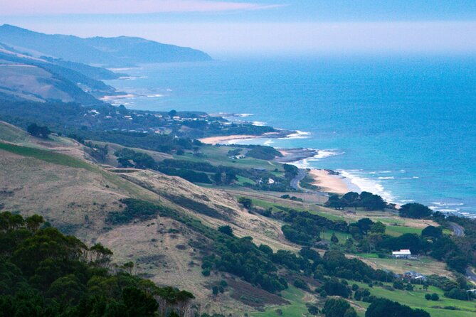 Private Helicopter Tour to 12 Apostles & Great Ocean Road - Authentic Insights From Reviewers