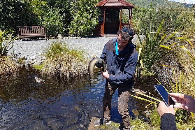 Private Kapiti Coast Full Day Tour - FAQs