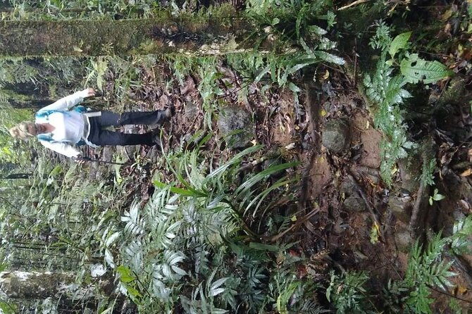 Private Mnt Batilamu Full Day Hike - FAQ