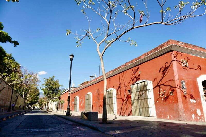 private-oaxaca-street-food-historic-city-tour-best-rated