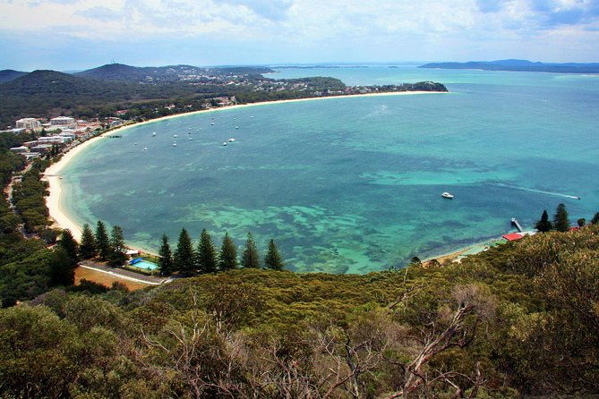 Private Port Stephens Day Trip from Sydney incl Dolphin Cruise - Why Travelers Love It