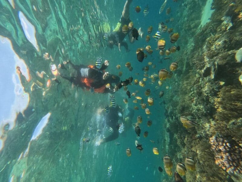 private-snorkeling-gili-islands-full-day-tour