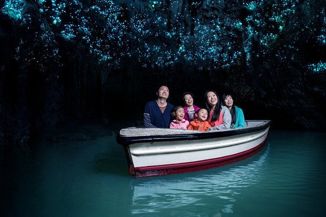 Private Tour [2 Days]: Auckland to Waitomo Caves, Rotorua, Te Puia & Wai-O-Tapu - Final Thoughts: Who Will Love This Tour?