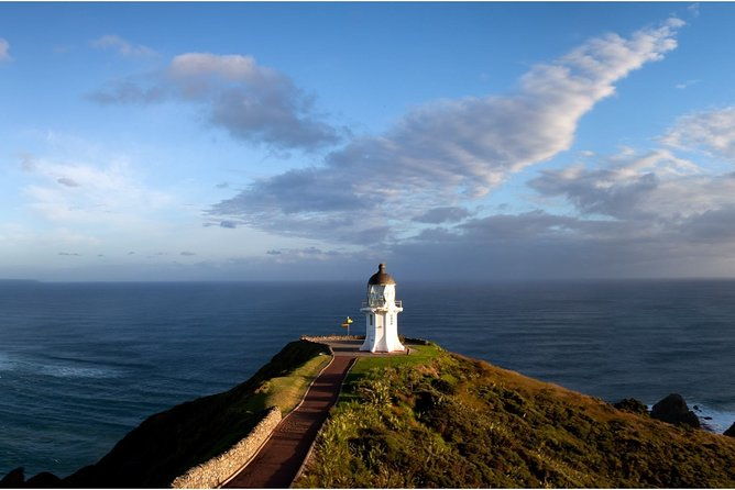 Private Tour [4 Days]: Hokianga, Tane Mahuta & Bay of Islands - Who Should Consider This Tour?