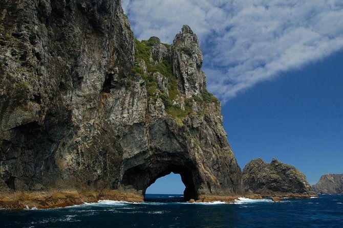 Private Tour: Bay of Islands Day Trip from Auckland - The Sum Up