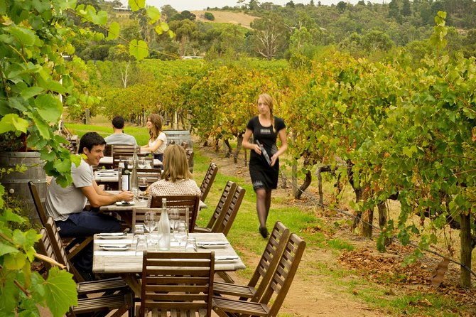 [PRIVATE TOUR] Mornington Peninsula Hot Springs | Winery & Sightseeing Tour - Final Thoughts