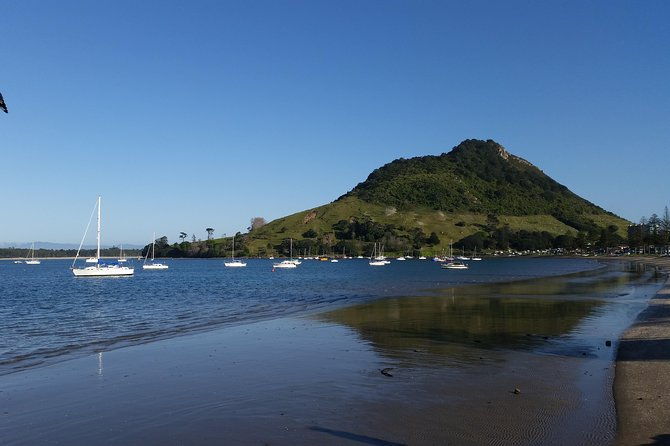 Private Tour Rotorua Shore Excursion up to 8 Passengers - Who is This Tour Best For?
