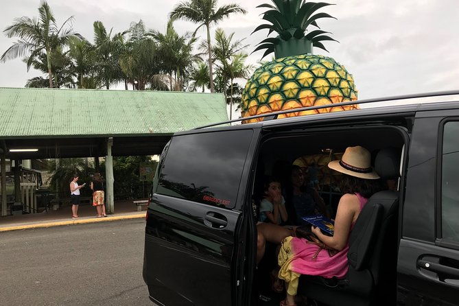 Private Transfer from Brisbane Airport to Noosa for 1 to 7 people/5 medium lugg - Pricing and Value
