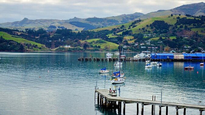 Private Transfer from Christchurch Airport (CHC) to Akaroa Port - Who Will Benefit Most