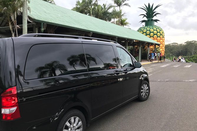 Private Transfer from Noosa to Sunshine Coast Airport up to 3 pax - Cost and Value Analysis