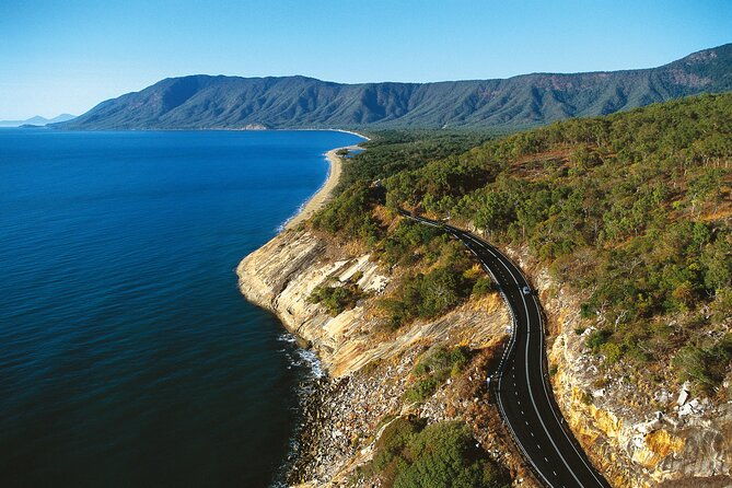Private Transfers Cairns Airport to Port Douglas - From Airport to Port Douglas: What to Expect