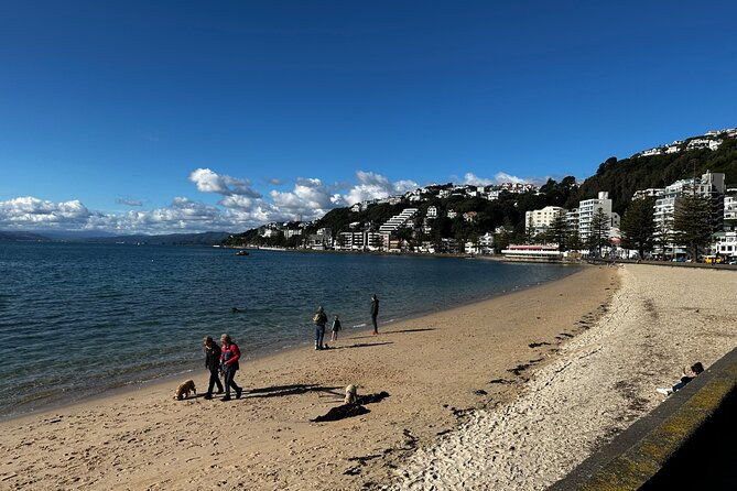 Private Wellington City Highlight Tour - Final Thoughts