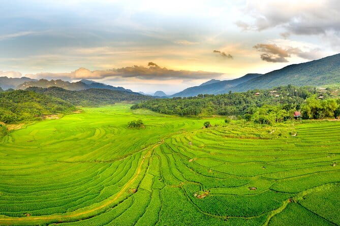 Pu Luong Insight Half Day of Nature and Culture Discovery - Who Should Consider This Tour?