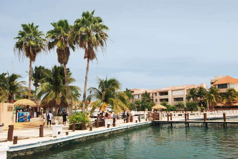 puerto-aventuras-sea-lion-discovery-ticket