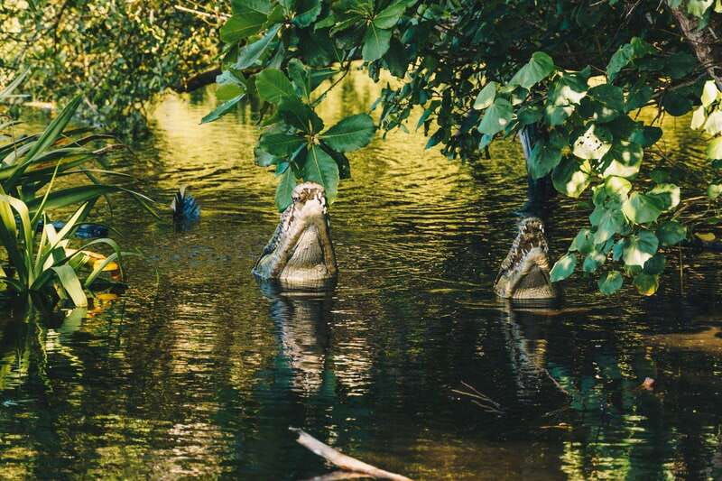 puerto-escondido-oaxaca-coast-wildlife-ecotour