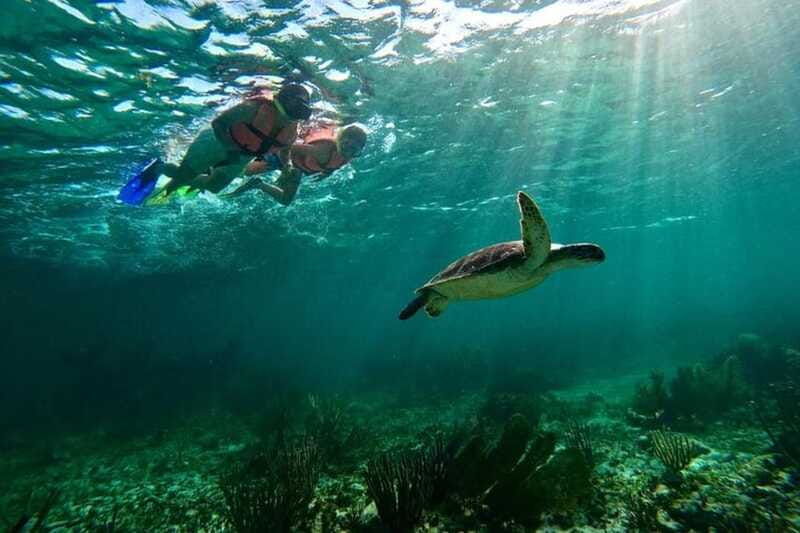 puerto-morelos-snorkeling-guided-activity