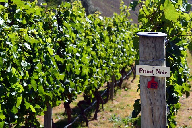 Queenstown Gin, Wine & Beer Tour | Adults Only - Final thoughts