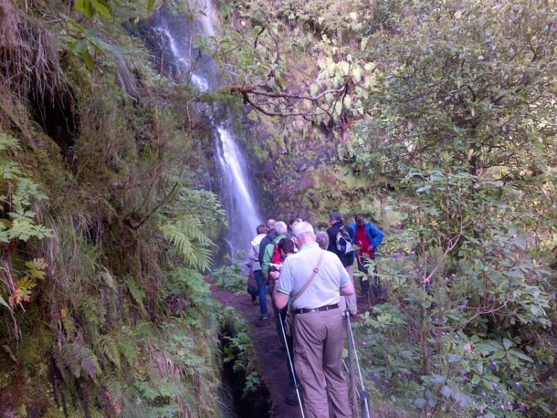 queimadas-natural-park-5-hour-guided-hike