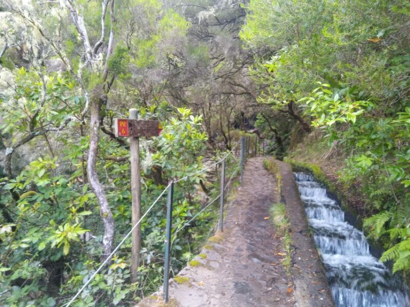 rabacal-wind-lagoon-risco-levada-and-25-fontes-levada