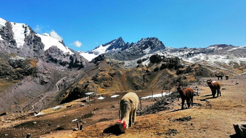 rainbow-mountain-tour-and-machu-picchu-tour-by-train
