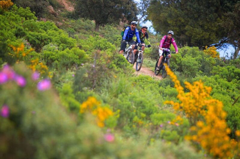 ramatuelle-tracks-tasting-winery-tour-by-mountain-e-bike