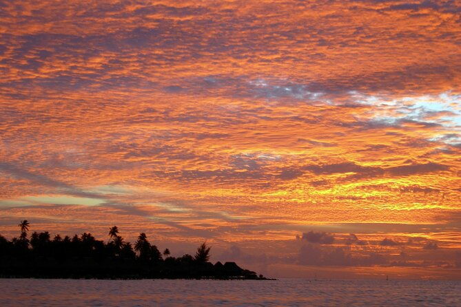 Reef Discovery Luxury Private Sunset Cruise - Detailed Breakdown: What Makes the Tour Special