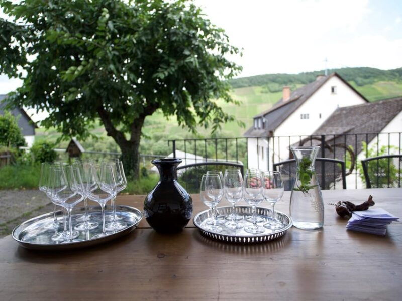 reil-mosel-guided-organic-wine-tasting-and-cellar-tour