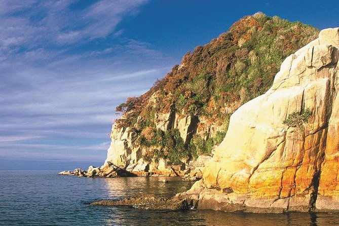 Remote Marine Reserve - Guided Kayaking - New Zealand - The Sum Up: Is This Tour Right for You?