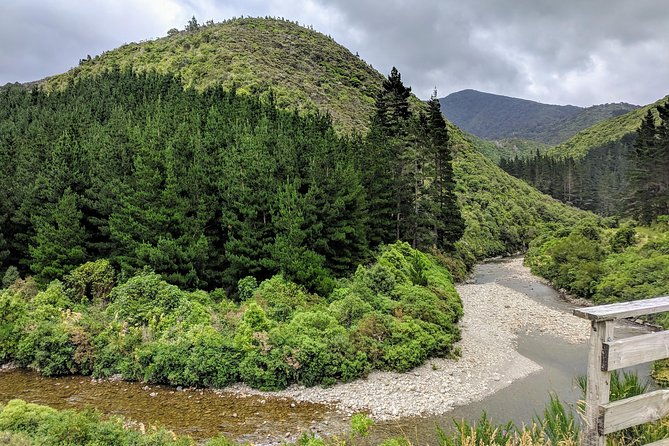 Remutaka Rail Trail Explorer - eBike Cruise Ship Shore Excursion - Authentic Insights from Riders