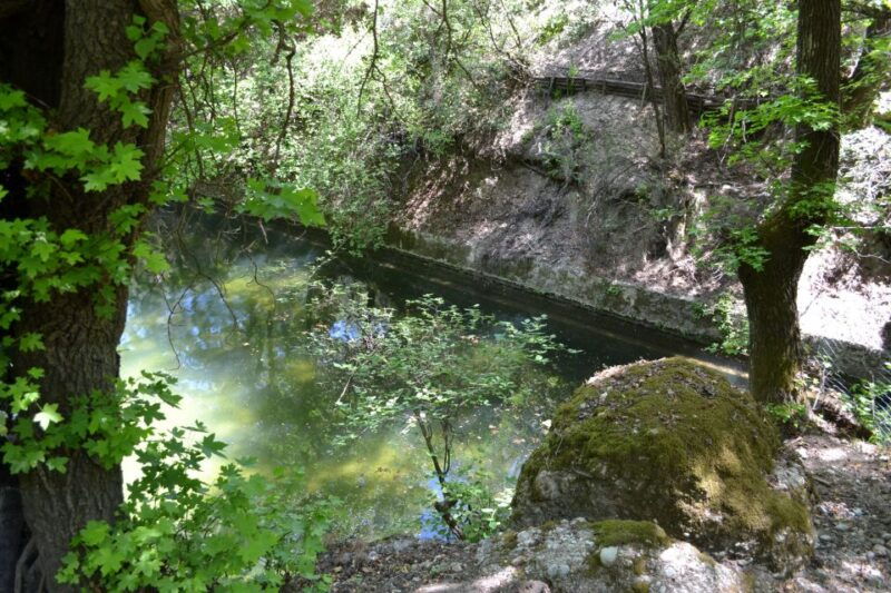 rhodes-filerimos-butterfly-valley-ancient-kamiros-tour