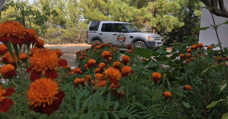 rhodes-full-day-4wd-northern-safari-tour