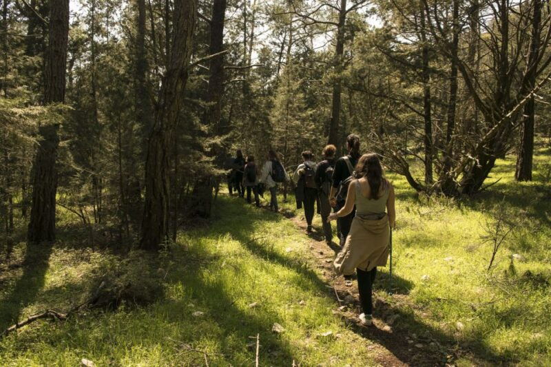 rhodes-hiking-tour-to-the-summit-of-akramitis-with-photos