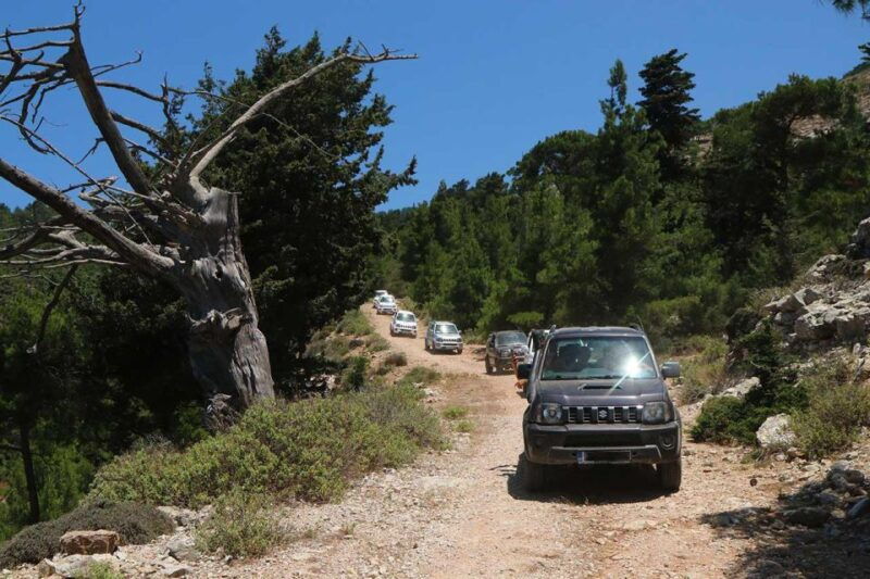 rhodes-self-drive-4x4-safari-tour-with-north-pickup