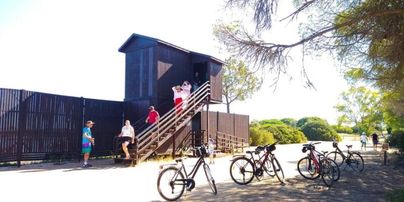 ria-formosa-guided-bike-tour-3h-starting-at-quinta-do-lago