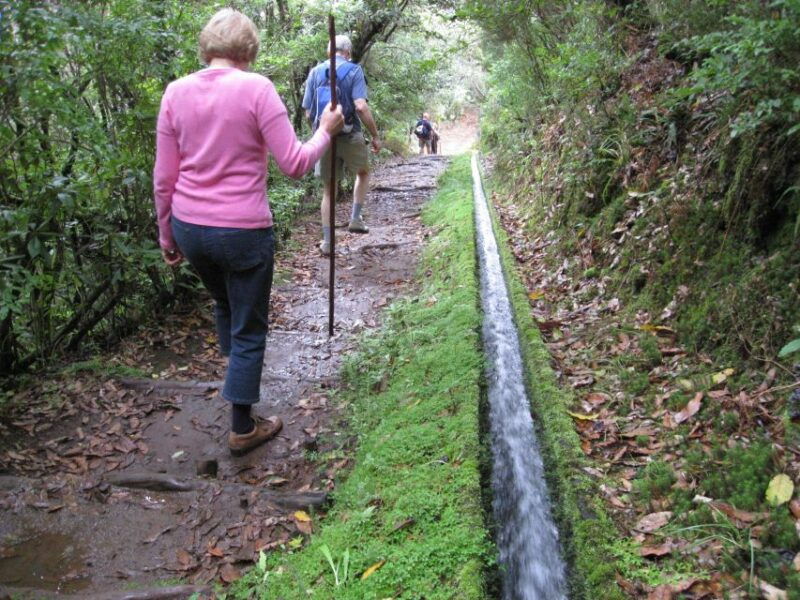 ribeiro-frio-portela-full-day-hike