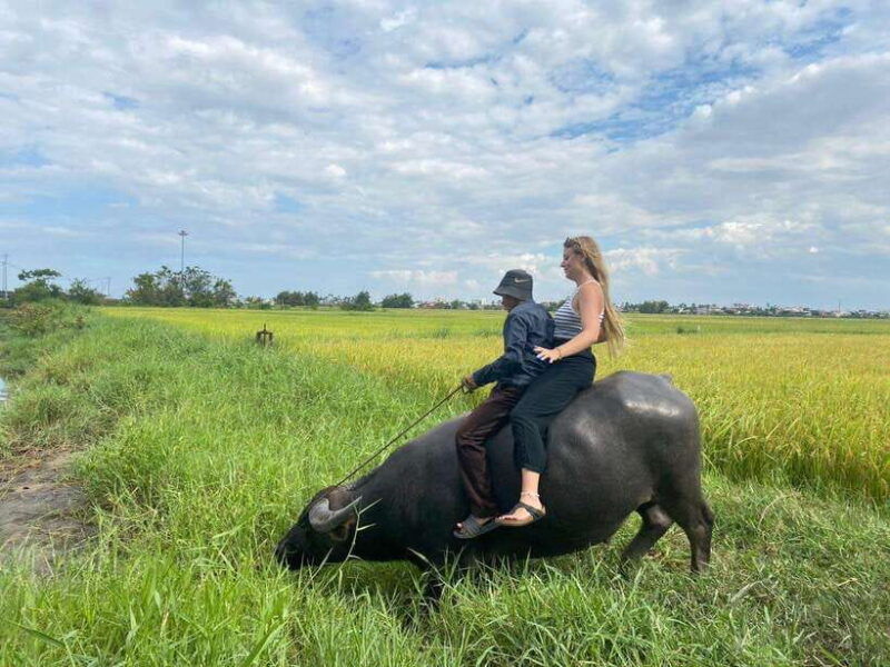 riding-buffalo-and-basket-boat-hoi-an-private-bike-tour