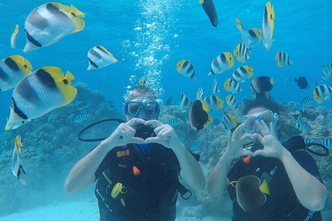 Romantic Dive for beginners in Bora Bora (2 people) with Video - FAQs
