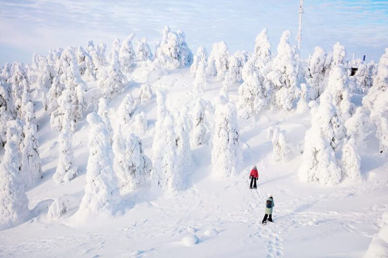 rovaniemi-arctic-animals-sleigh-rides-and-wildlife-zoo