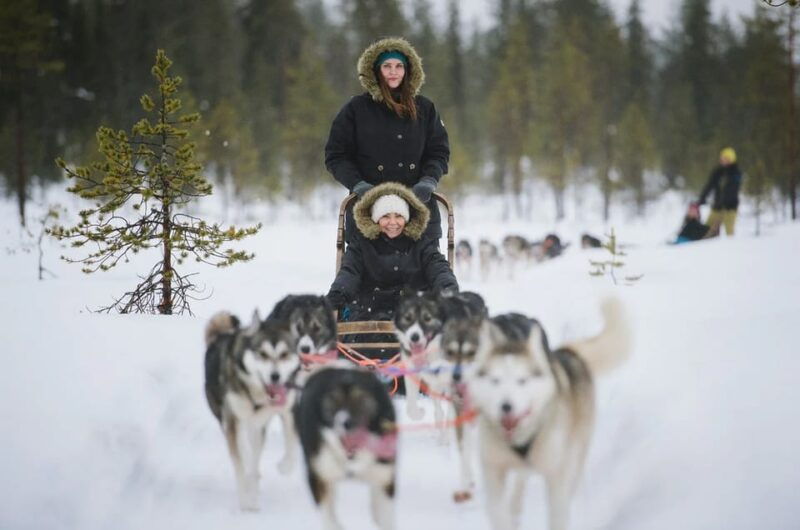 rovaniemi-family-friendly-husky-ride-and-farm-visit
