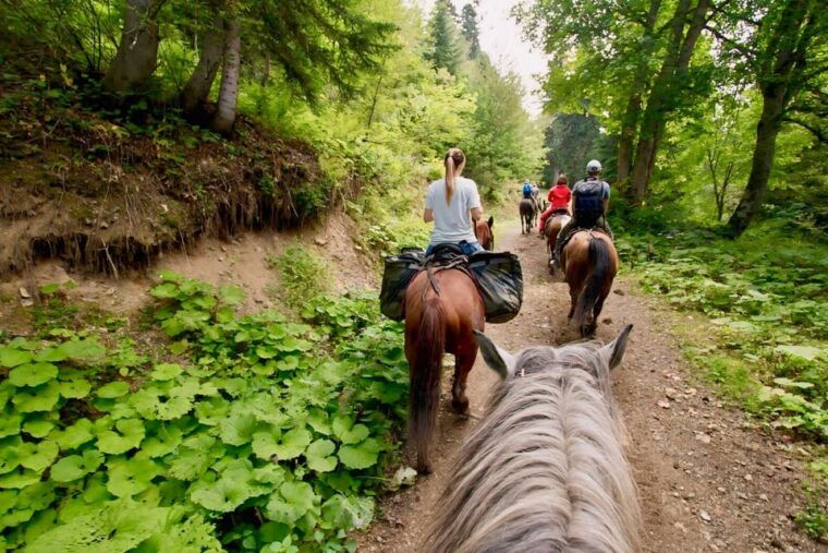 rovaniemi-horse-riding-in-arctic-wilderness